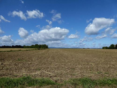 Freies Feld vor Bad Vilbel-Massenheim