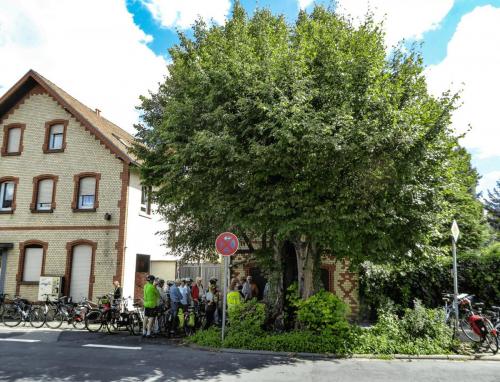 Vortrag vor der Lutherlinde