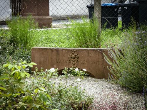 Detail im Pfarrgarten