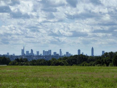 Panoramablick auf Frankfurt