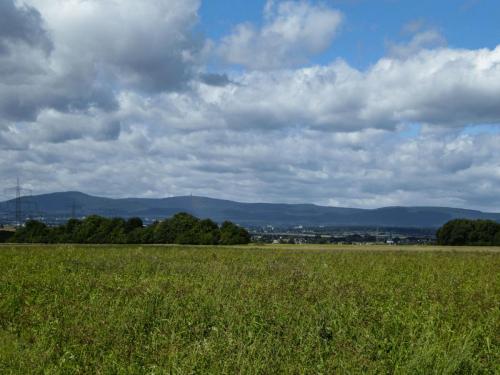 Ausblick von der Schäferköppel auf den Taunus
